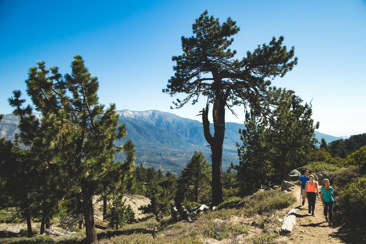 Embers Lodge & Cabins Big Bear Lake Dış mekan fotoğraf